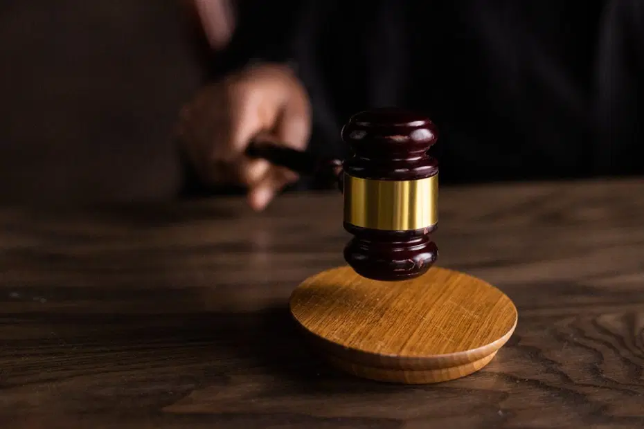 Terör örgütü DAEŞ'e para gönderen sanığa 10 yıl hapis istemi