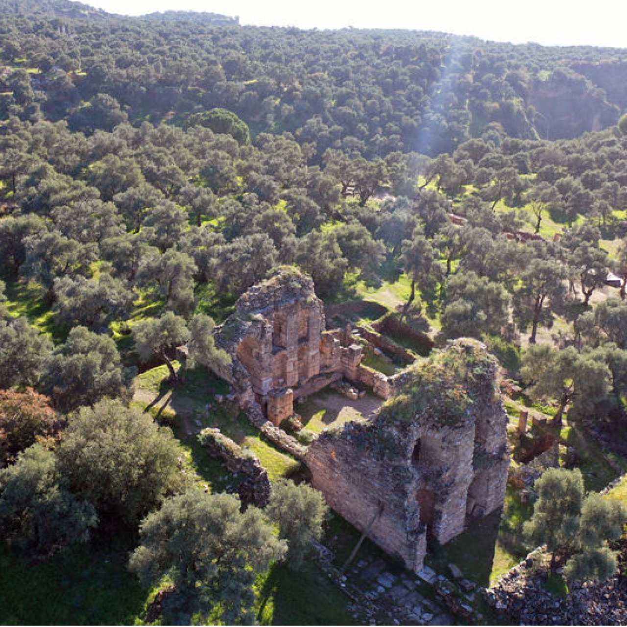 Aydın'da bulundue kütüphaneye giden 1800 yıllık merdiven bulundu