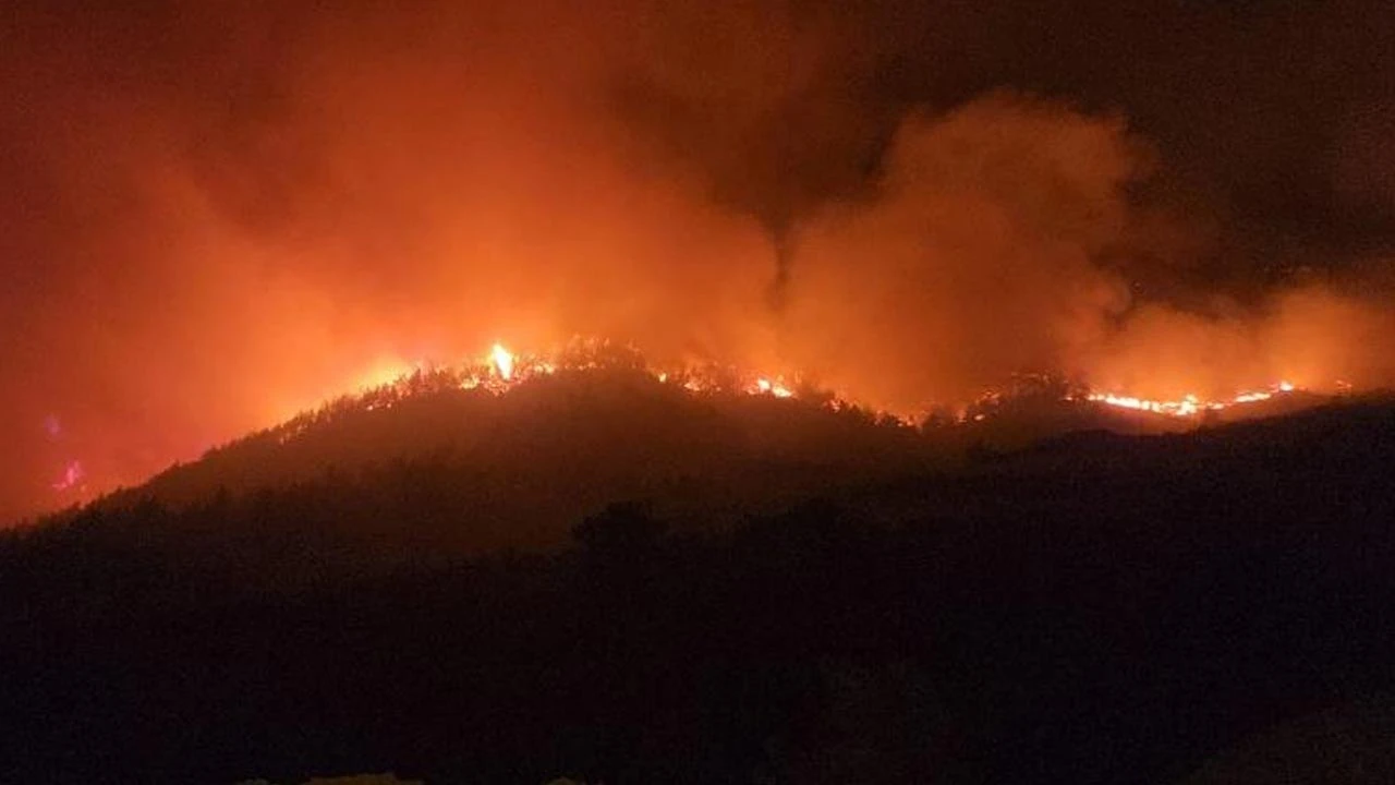 Hatay alevlere teslim oldu! 540 kişi tahliye edildi