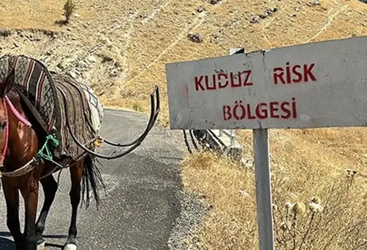 Bitlis'te köy kuduz alarmı! Bir köy karantinaya alındı