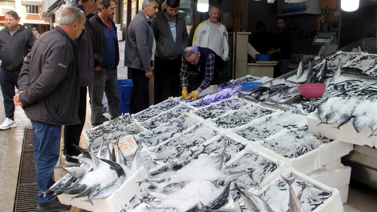 Sinop'ta hamsi bolluğu! Tezgahlarda 150 liradan satışta