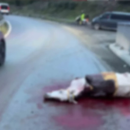 İstanbul’da Korkunç Kaza: Atın Kopan Bacağı Otomobile Saplandı