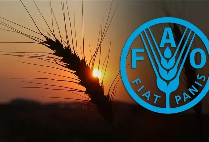 Türkiye, FAO Konsey üyeliğine seçildi