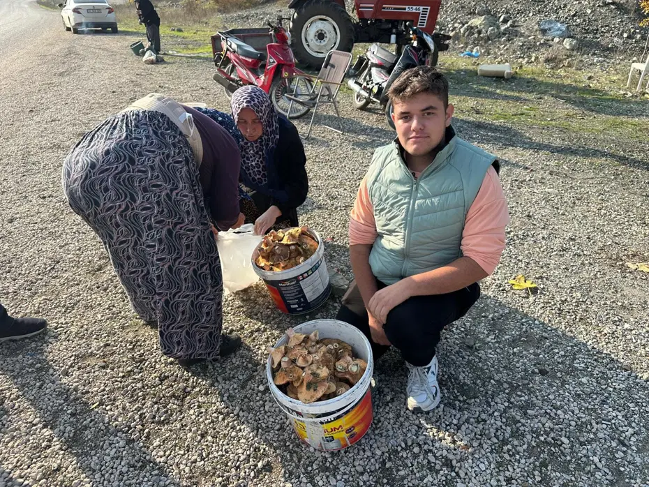 Dağ, tepe dolaşıp tek tek topluyor: Okul harçlığını "kanlıca"dan çıkarıyor