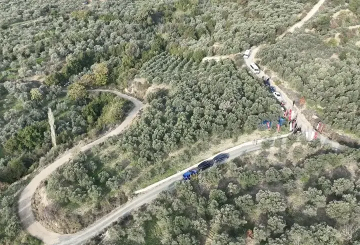 Hatay’da zeytin hasadına başlandı; 201 bin ton rekolte bekleniyor