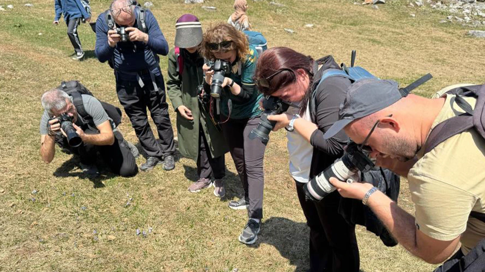 Dünyada sadece Kocaeli'de yetişiyor; yok olma tehlikesiyle karşı karşıya