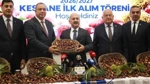 Coğrafi İşaret Tescilli Aydın Kestanesi Sembolik Olarak Kilogramı 600 TL'den Satın Alındı