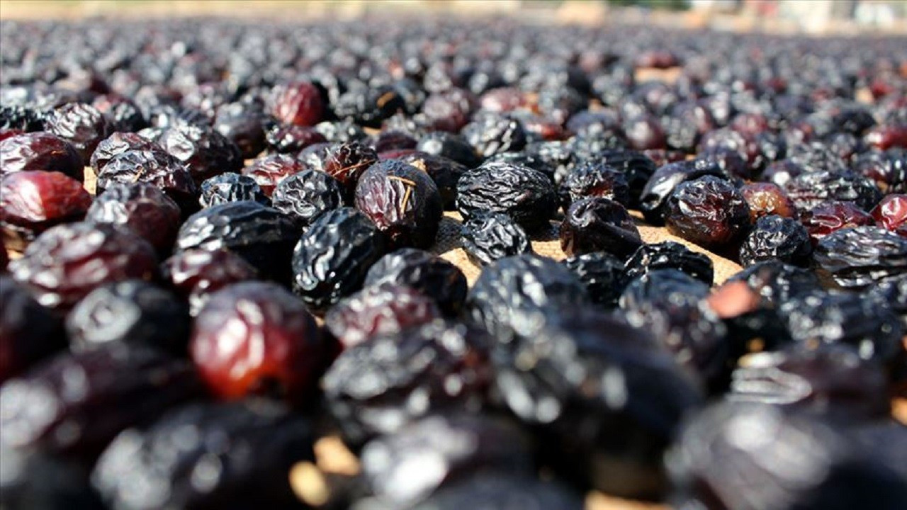 2024'te tarım sigortalarında en fazla hasar ödemesi kurutmalık üzüme yapıldı