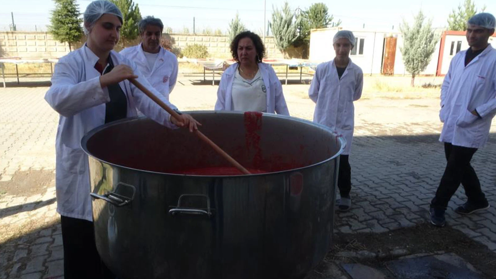 Fabrika gibi okul: Bir avuç tohumla başlayıp para kazanacak hale geldiler