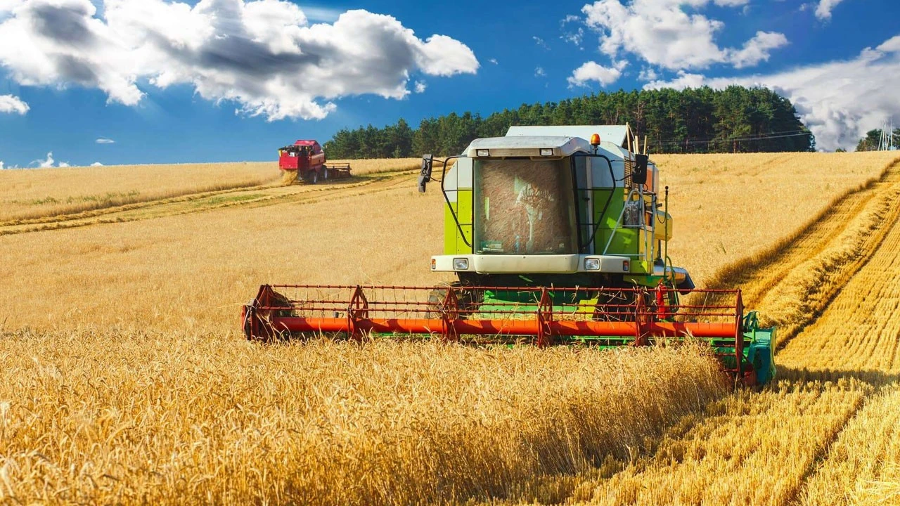 Rusya, 1 Temmuz'da başlayacak sezonda 45 milyon ton buğday ihraç etmeyi planlıyor
