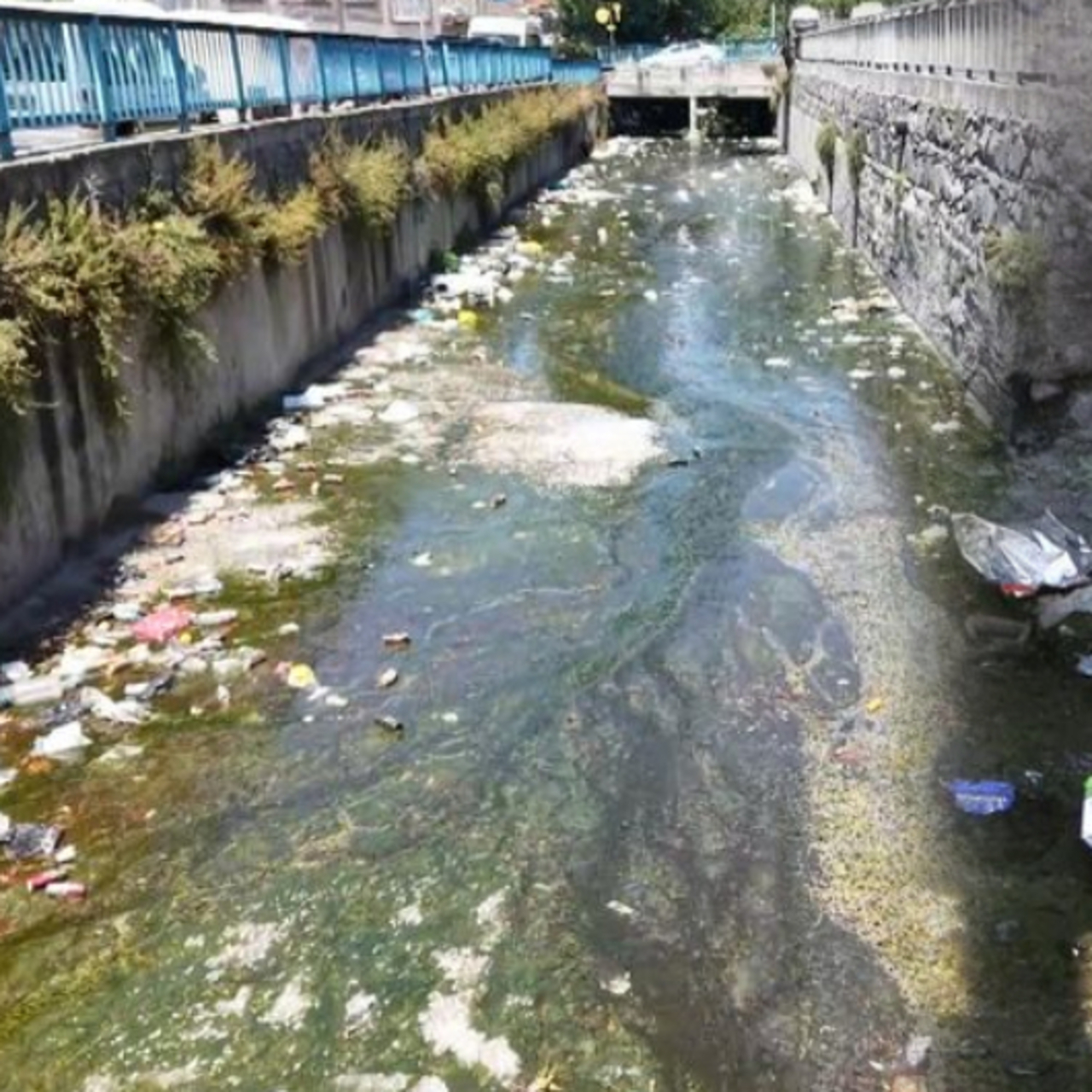 Çöplüğe dönen Galata Deresi'nde koku şikâyeti