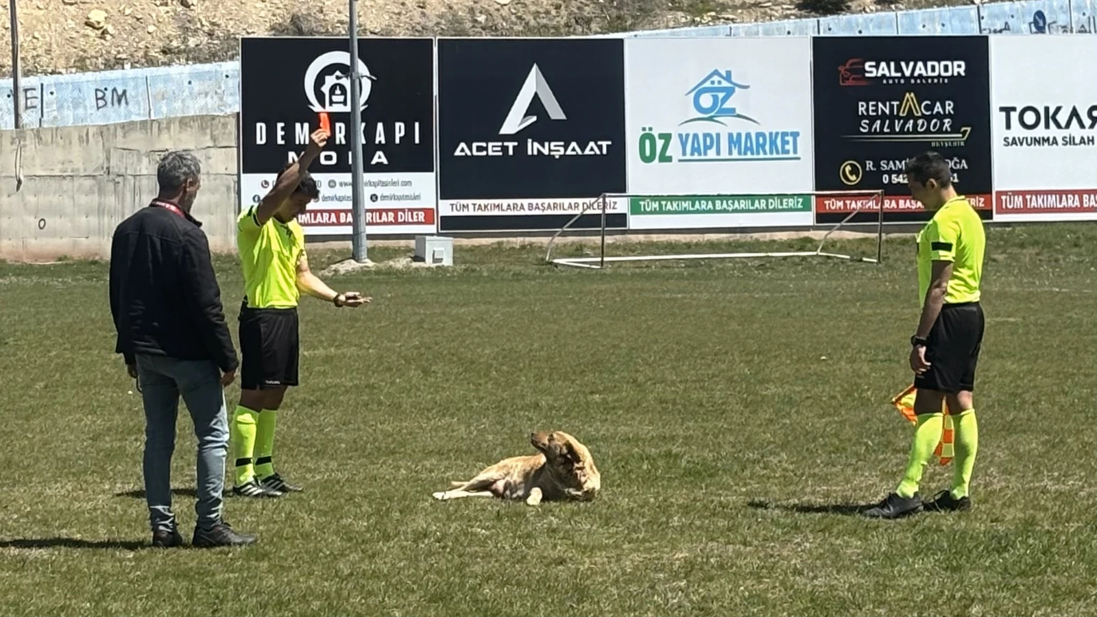 Konya'da köpeğe kırmızı kart gösteren hakem o anları anlattı