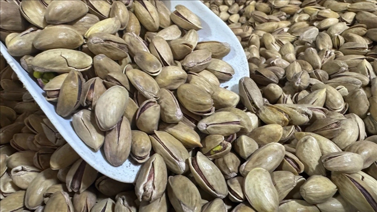 Fıstık ihracatında sert düşüş: İlk çeyrekte gelir geriledi