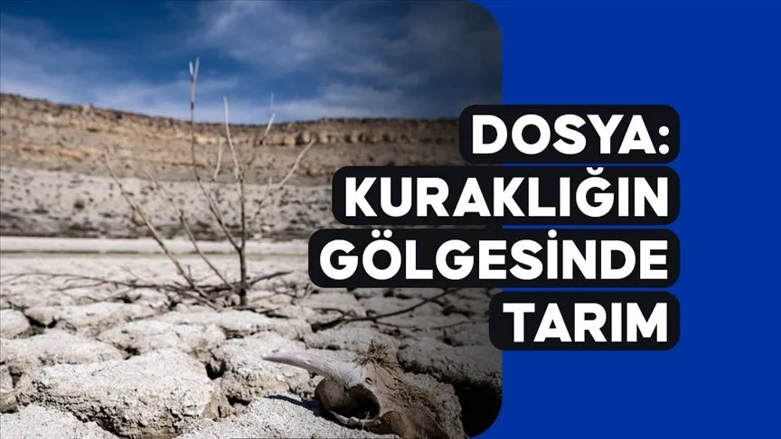 Kuraklık Tarımı Tehdit Ediyor: Çözüm İçin Yol Haritası Aranıyor
