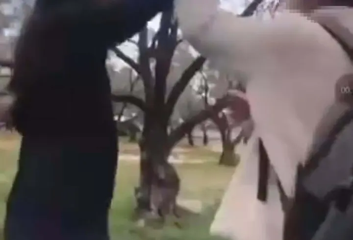 Muğla'da 13 yaşındaki kız öğrenci arkadaşını darbetti; o anlar kamerada