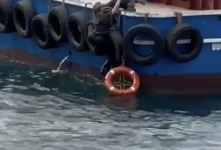 İstanbul - Kartal'da vapurdan denize düşen kadını balıkçılar kurtardı