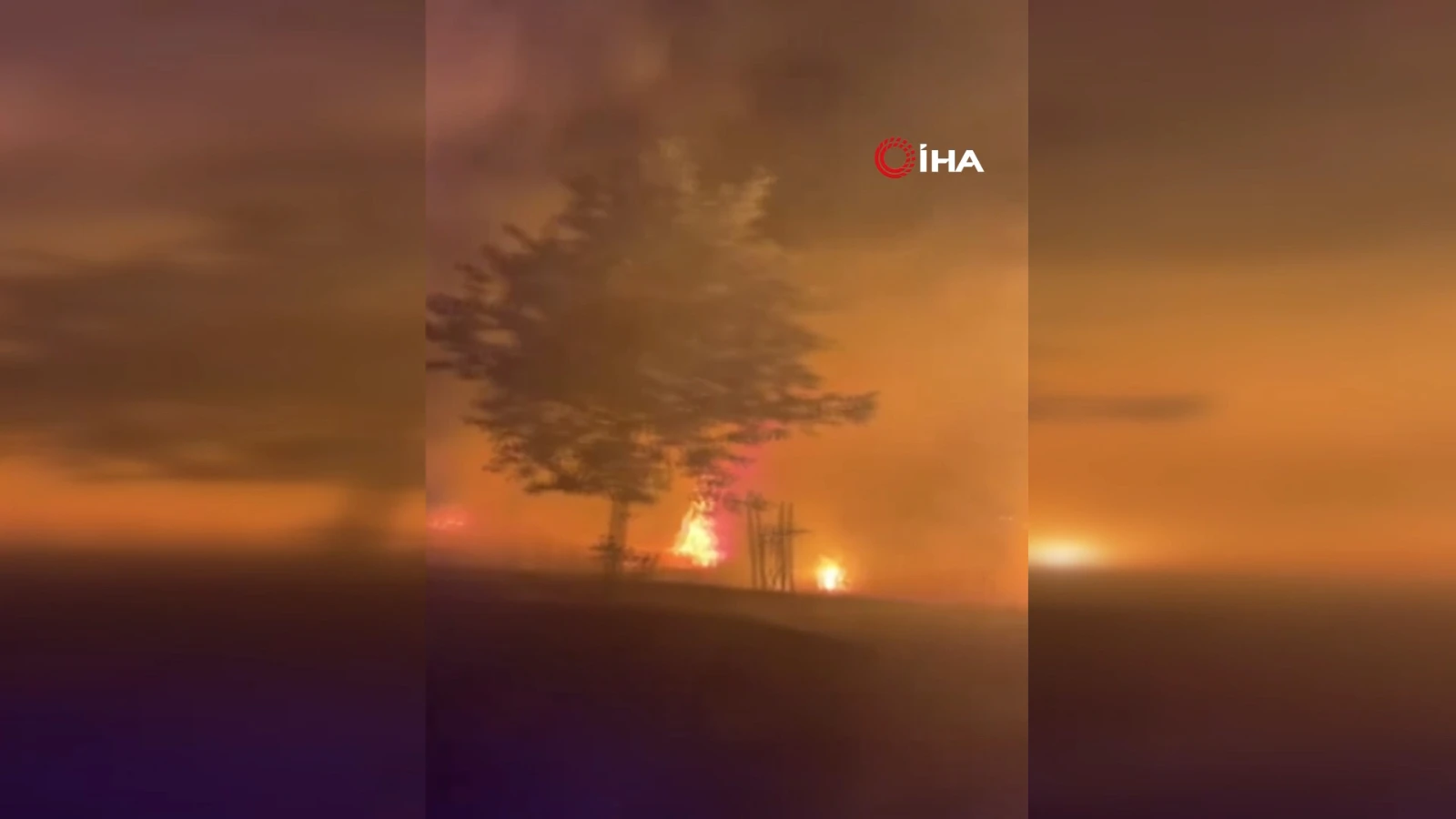 Hassa'da ormanlık alanda çıkan yangın kontrol altına alındı