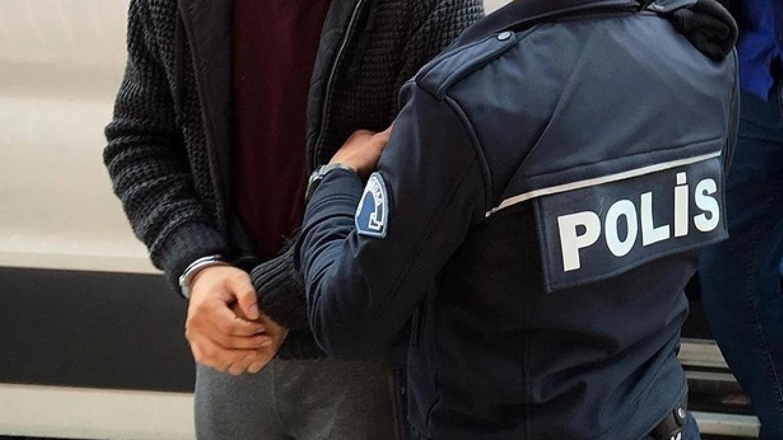 Fethiye'de köpeği bıçakla öldüren şahıs gözaltına alındı