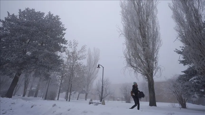 Doğu Anadolu'da 5 ilde soğuk hava ve sis etkili oluyor