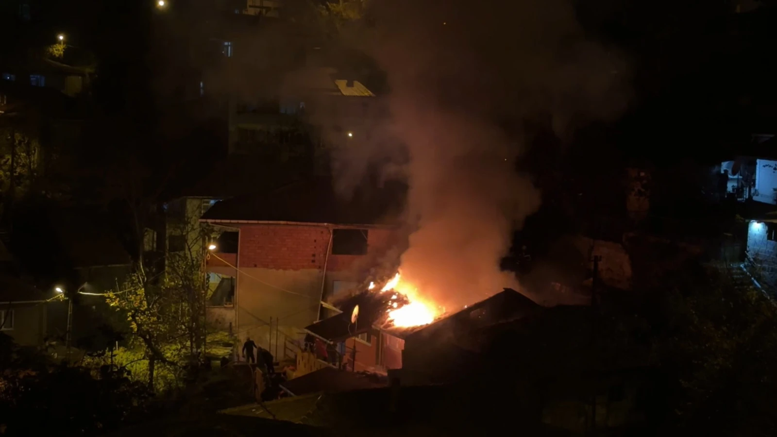 Zonguldak'ta yanan evde mahsur kalan papağanı itfaiye kurtardı