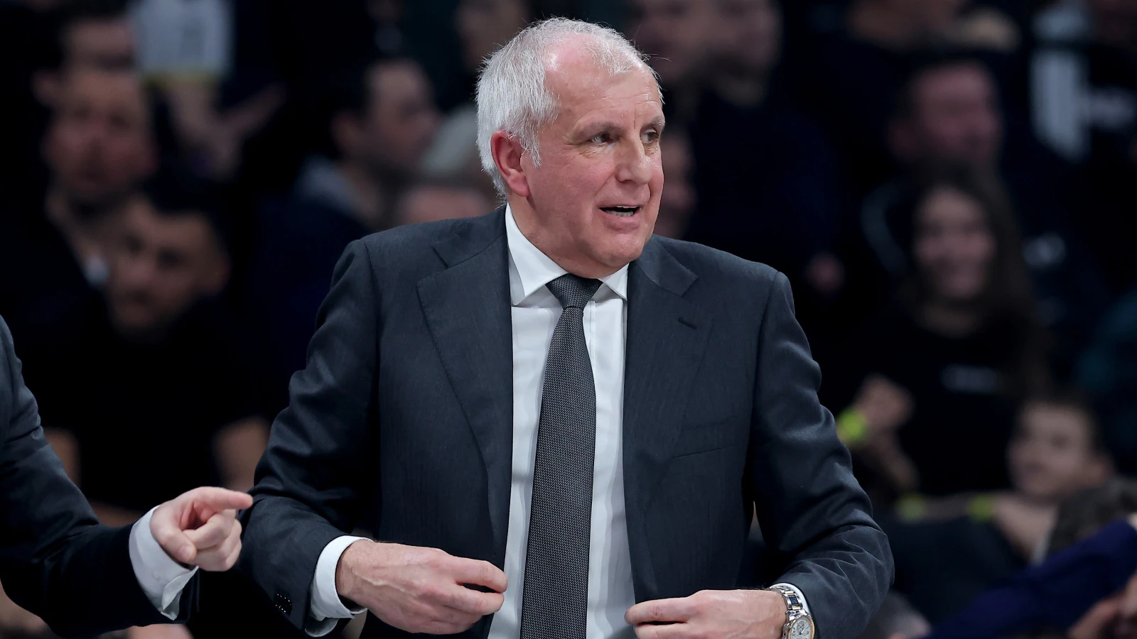 Partizan Obradovic'in istifasını kabul etmedi