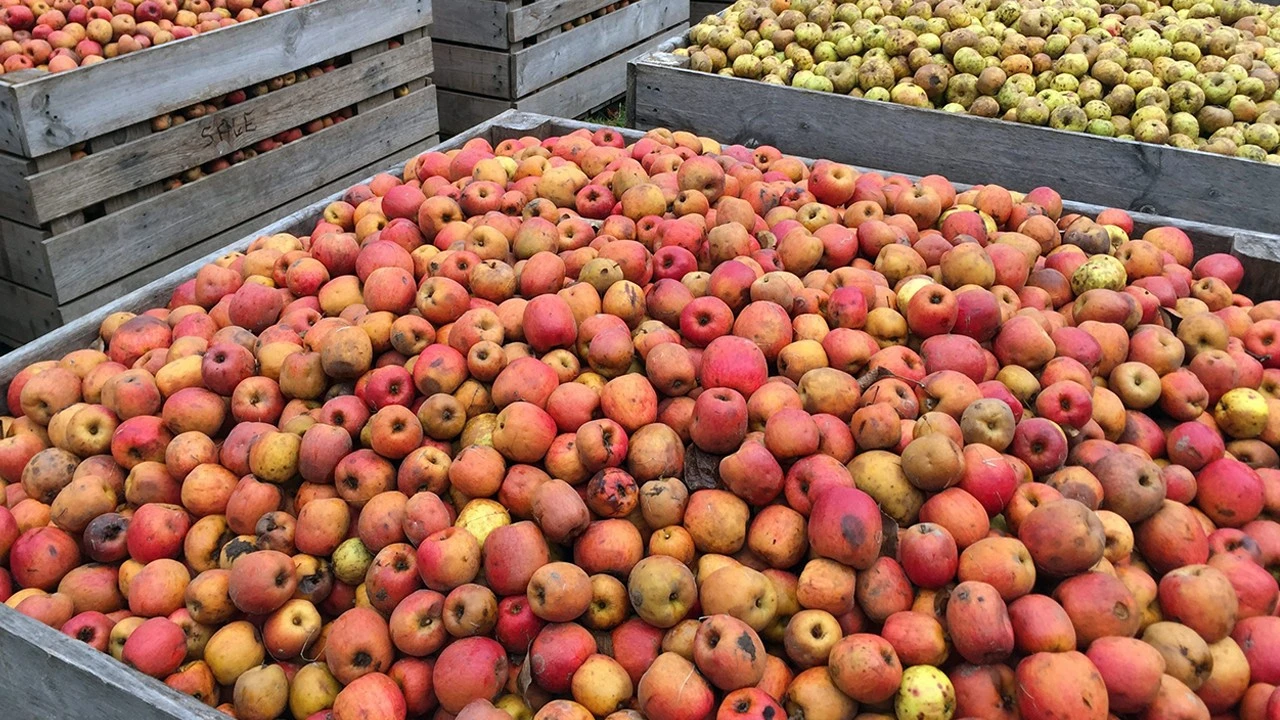 Siparişler hareketlilik kazandı, kapasiteler yükselmeye başladı