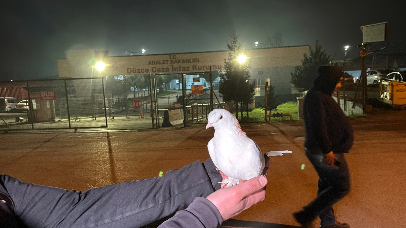 11. Yargı Paketi'nin ardından Düzce'de beyaz güvercinli karşılama