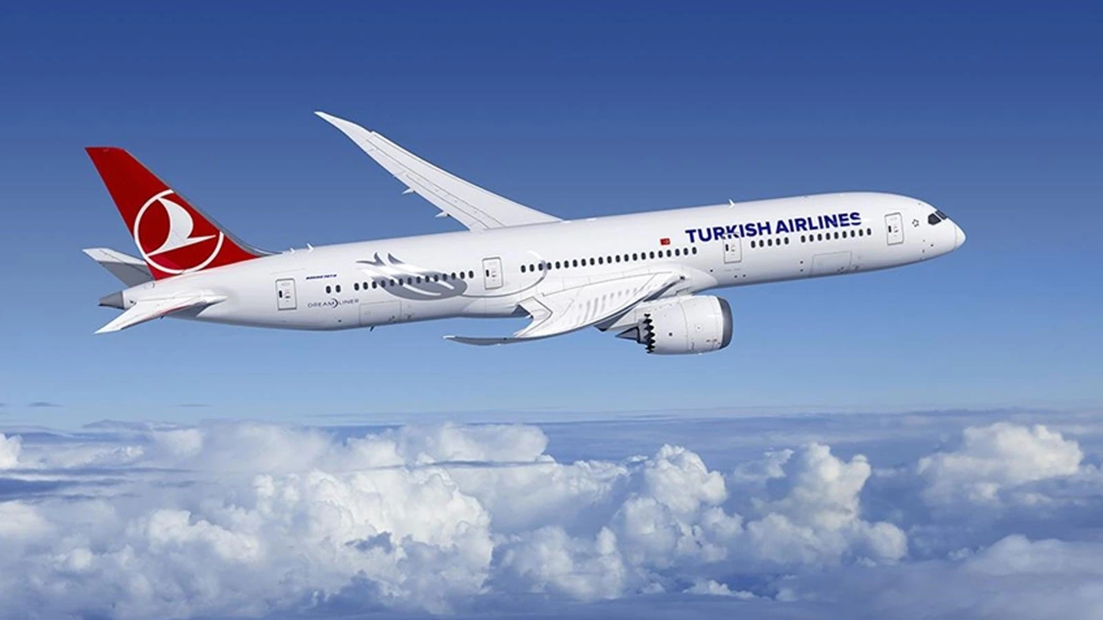 THY duyurdu: Türkiye'den Süleymaniye'ye uçuşlar yeniden başlıyor