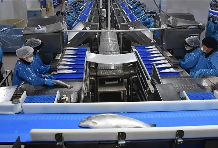 Türk somonunun 9 aylık ihracatı 368,9 milyon doları aştı