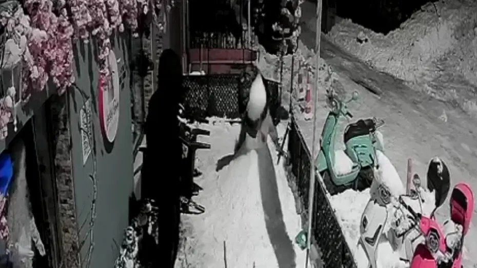 Kardan adamı dövdüler. "Bana çarptı" deyince arkadaşı tekme tokat parçaladı