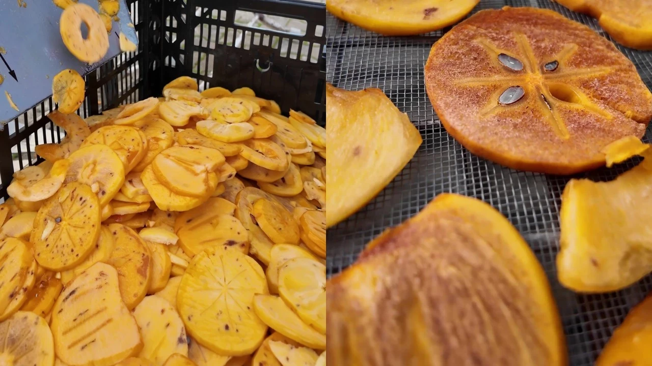 Binlerce ailenin geçim kaynağı! Bu kez de cipsini yaptılar