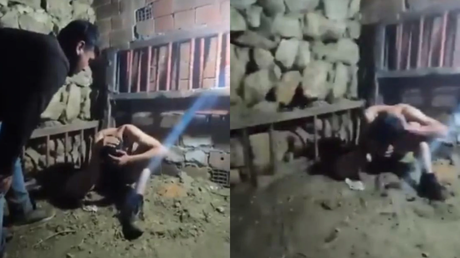 Mardin'de çocuğa işkence: Alıkoydu, darbetti, köpeği saldırttı