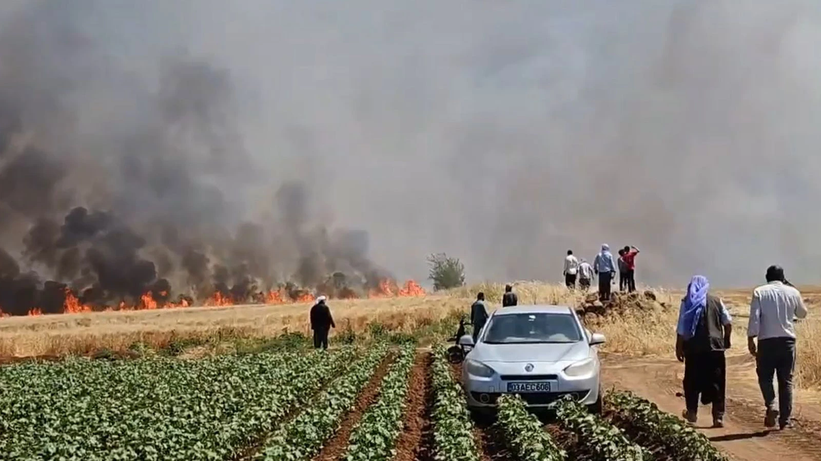 Tarlada çıkan yangında 1'i ağır 5 kişi yaralandı