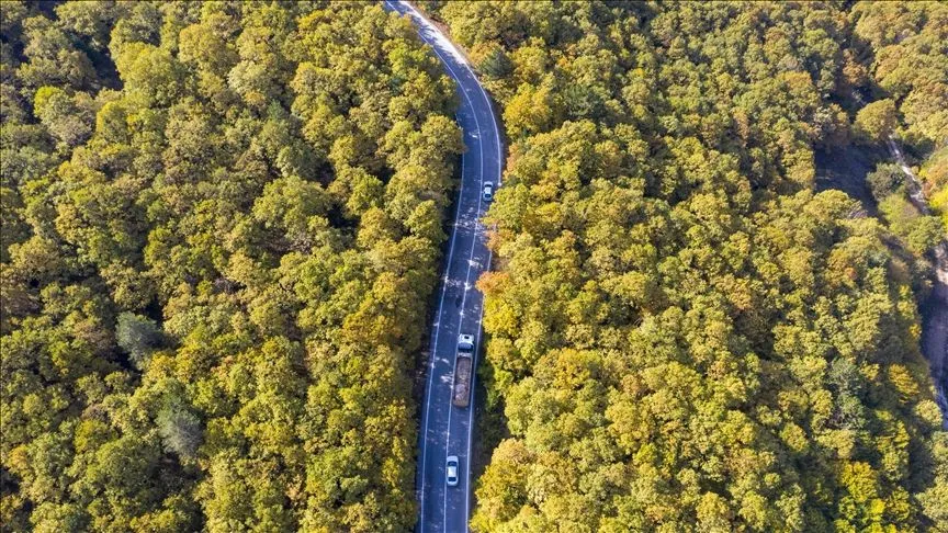 Bolu'da ormanlık alanlar sonbahar renklerine büründü