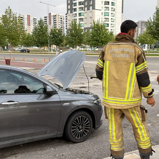 Diyarbakır’da Yılan Paniği: Otomobilin Kaputuna Girdi