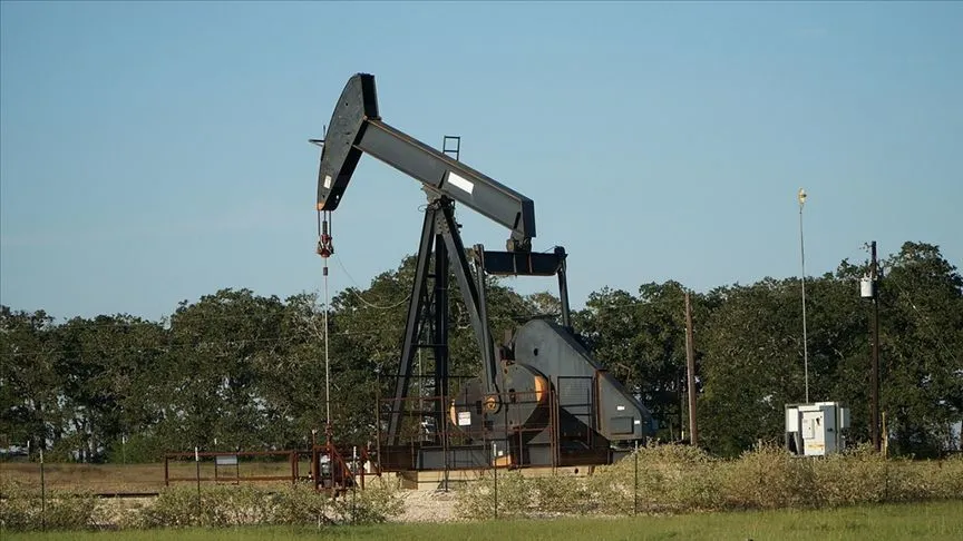 OPEC'in ham petrol üretimi kasımda günlük 1000 varil azaldı