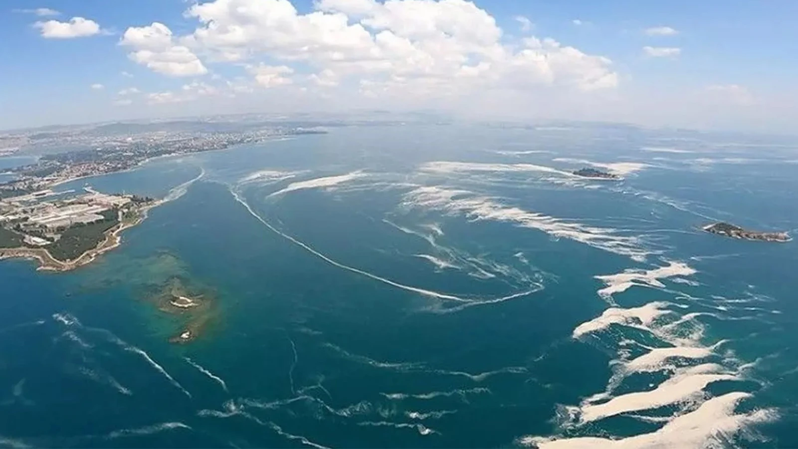 Canlılar tehlike altında! Marmara'da hiç oksijen kalmadı