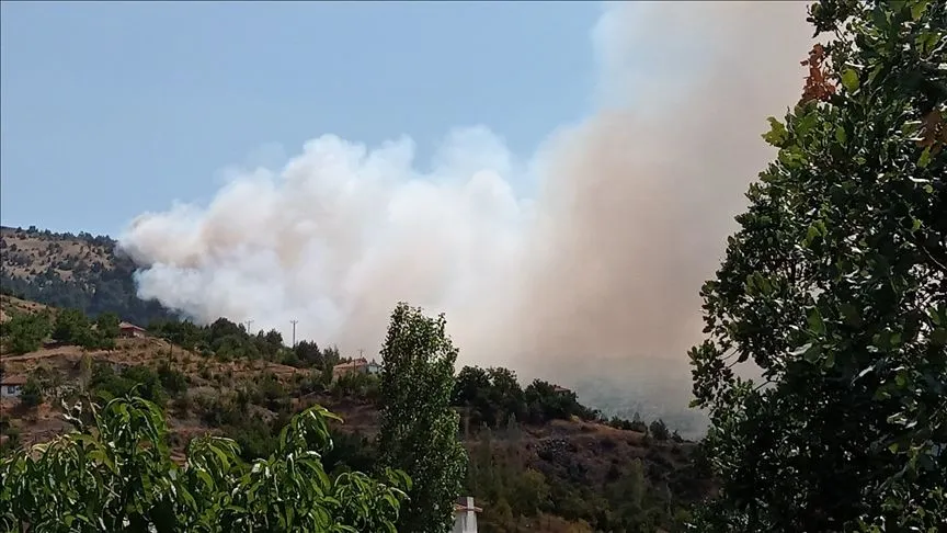 Çorum ve Malatya'da çıkan orman yangınlarına müdahale ediliyor