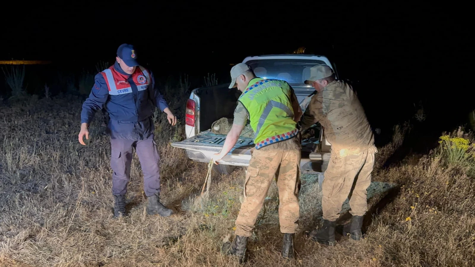 Van'da kaçak avlanan 1 ton 500 kilogram inci kefali suya geri bırakıldı