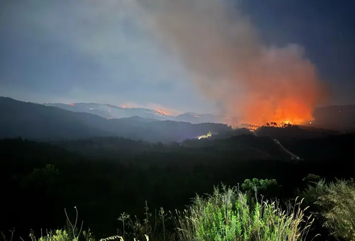 AFAD Başkanı Pehlivan, Yayladağı sınırında yanan alanı inceledi