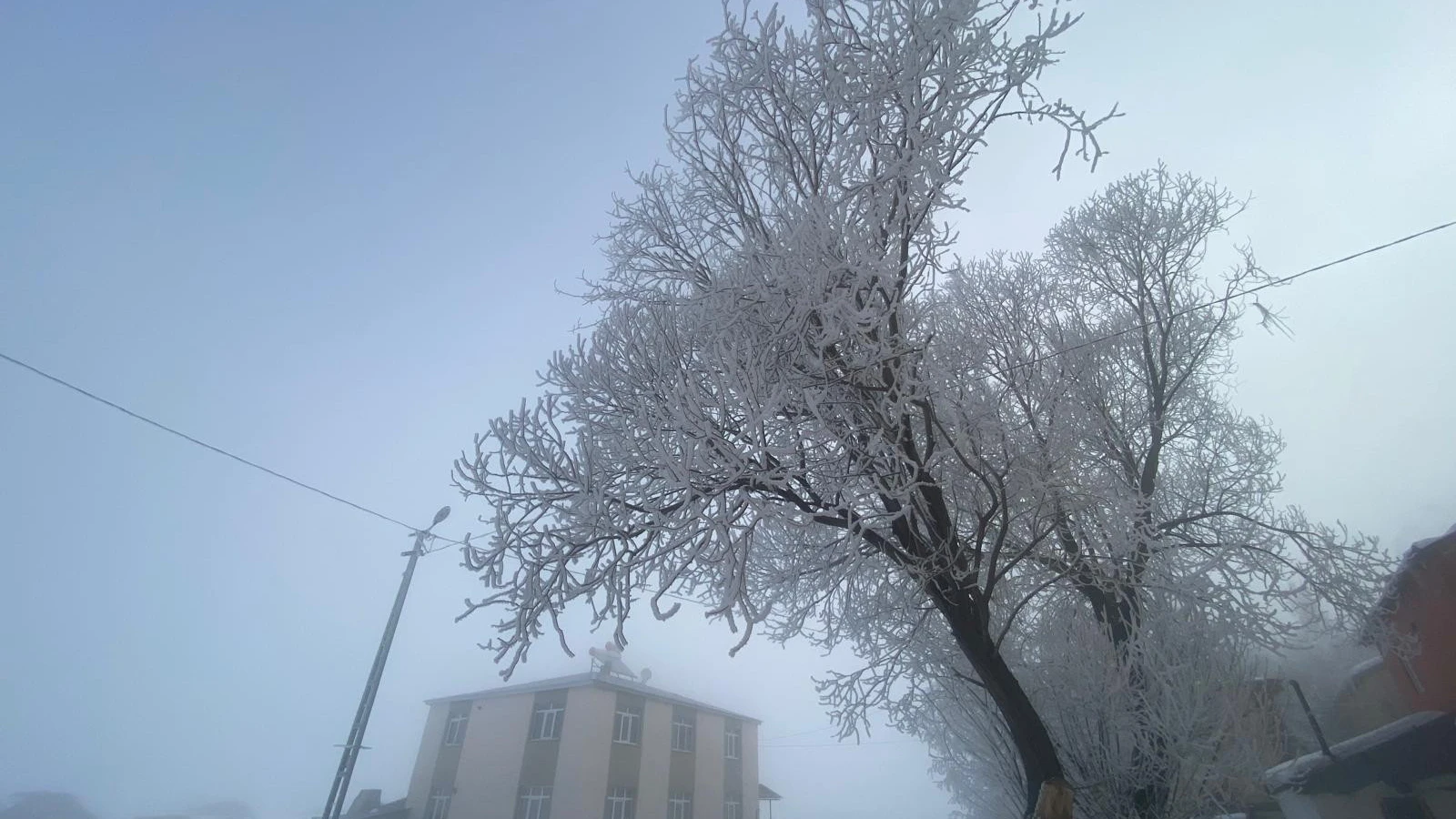 Ardahan Göle buz tuttu: Termometreler sıfırın altında 18,5 dereceyi gösterdi