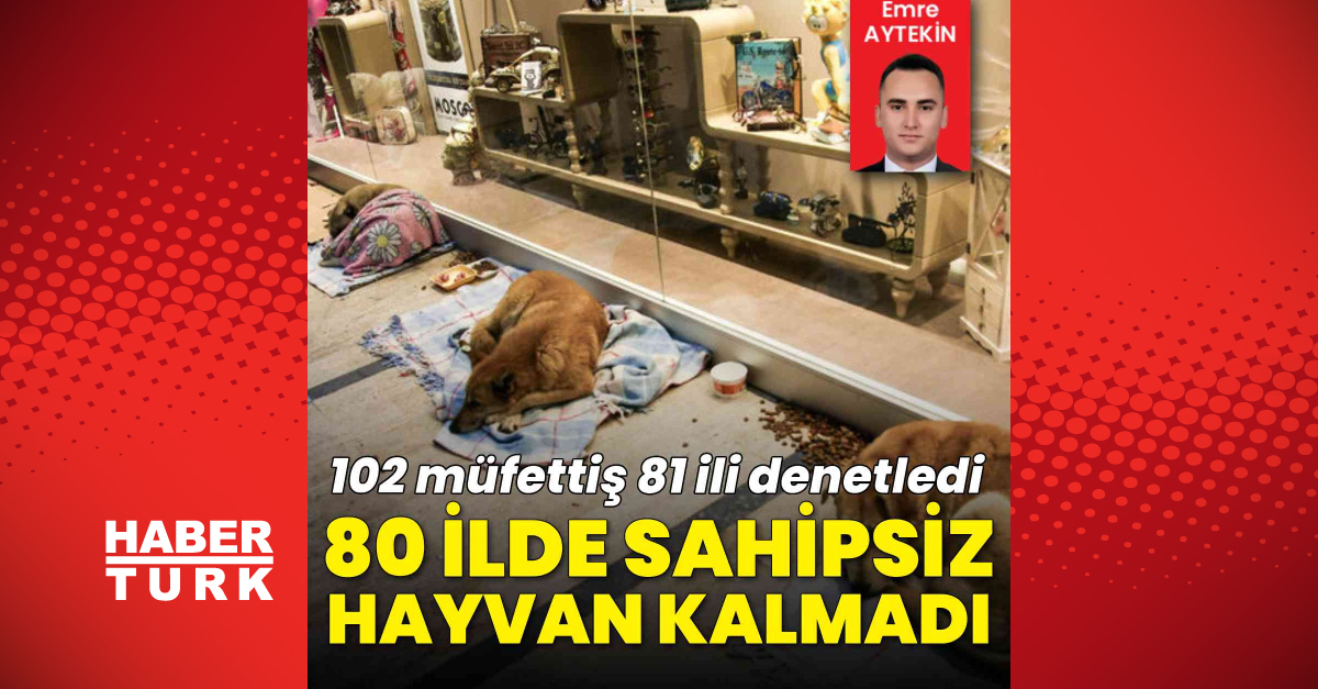 Son Dakika Haberi: Sahipsiz Sokak Hayvanları Denetim Raporu: 631 Bin 141 Hayvan Toplandı, 80 İlde Sahipsiz Hayvan Kalmadı - Yeni Haberler - Habertürk