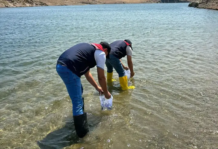 Kırklareli’de 1 milyon adet pullu sazan yavrusu, göl ve göletlere bırakıldı