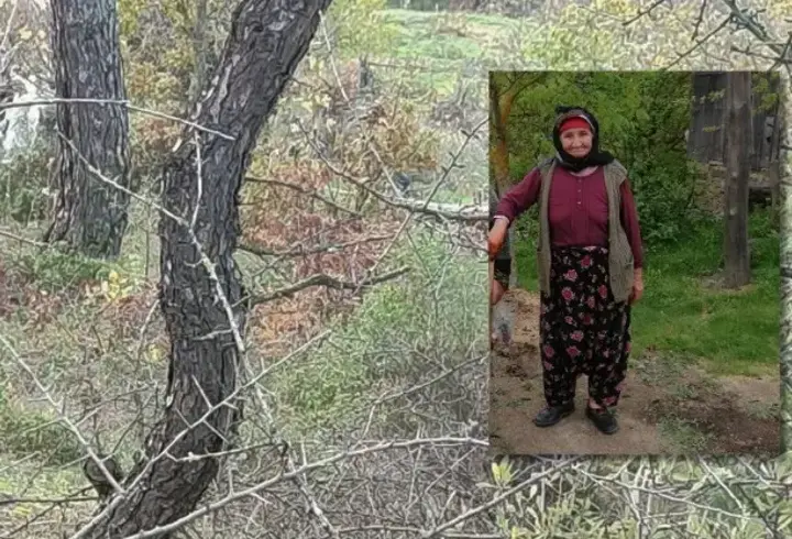 Çanakkale'de 90 yaşındaki kayıp Alzheimer hastası, ölü bulundu