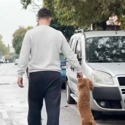 Manisa Akhisar'da Patisinden Tutularak Yürütülen Köpek Gündem Oldu: Sahibi Eleştirilere Yanıt Verdi