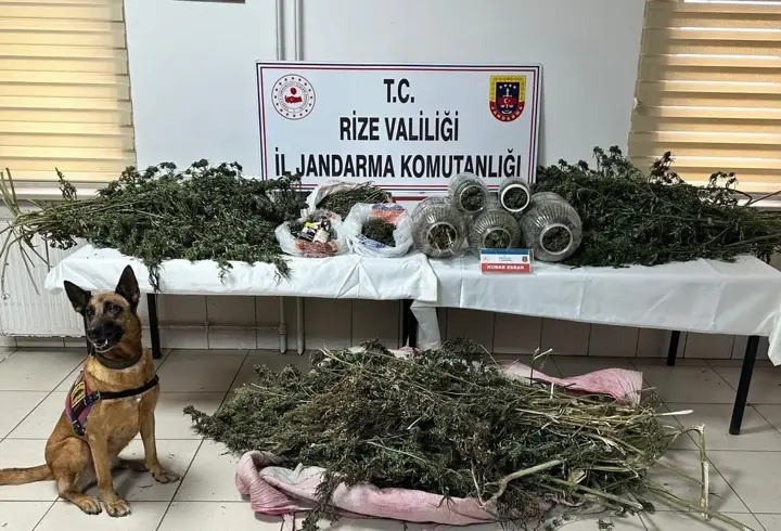 Rize'de uyuşturucu operasyonları; 89 şüpheli hakkında işlem yapıldı