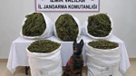 İzmir’in Tire İlçesinde 54,8 Kilo Esrar Ele Geçirildi: 3 Tutuklama
