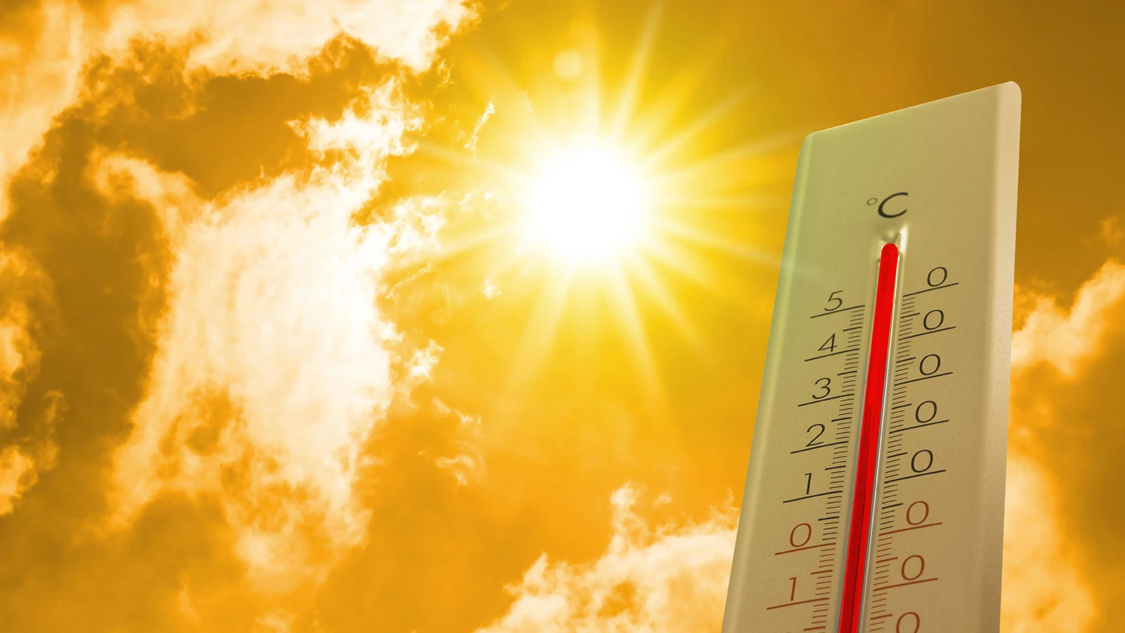 Dünya Meteoroloji Örgütü'nden felaket haberi!