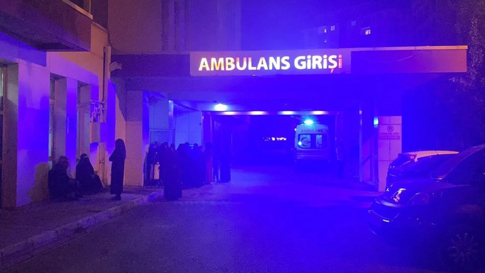 Muş’ta yıldırım faciası! Çoban hayatını kaybetti