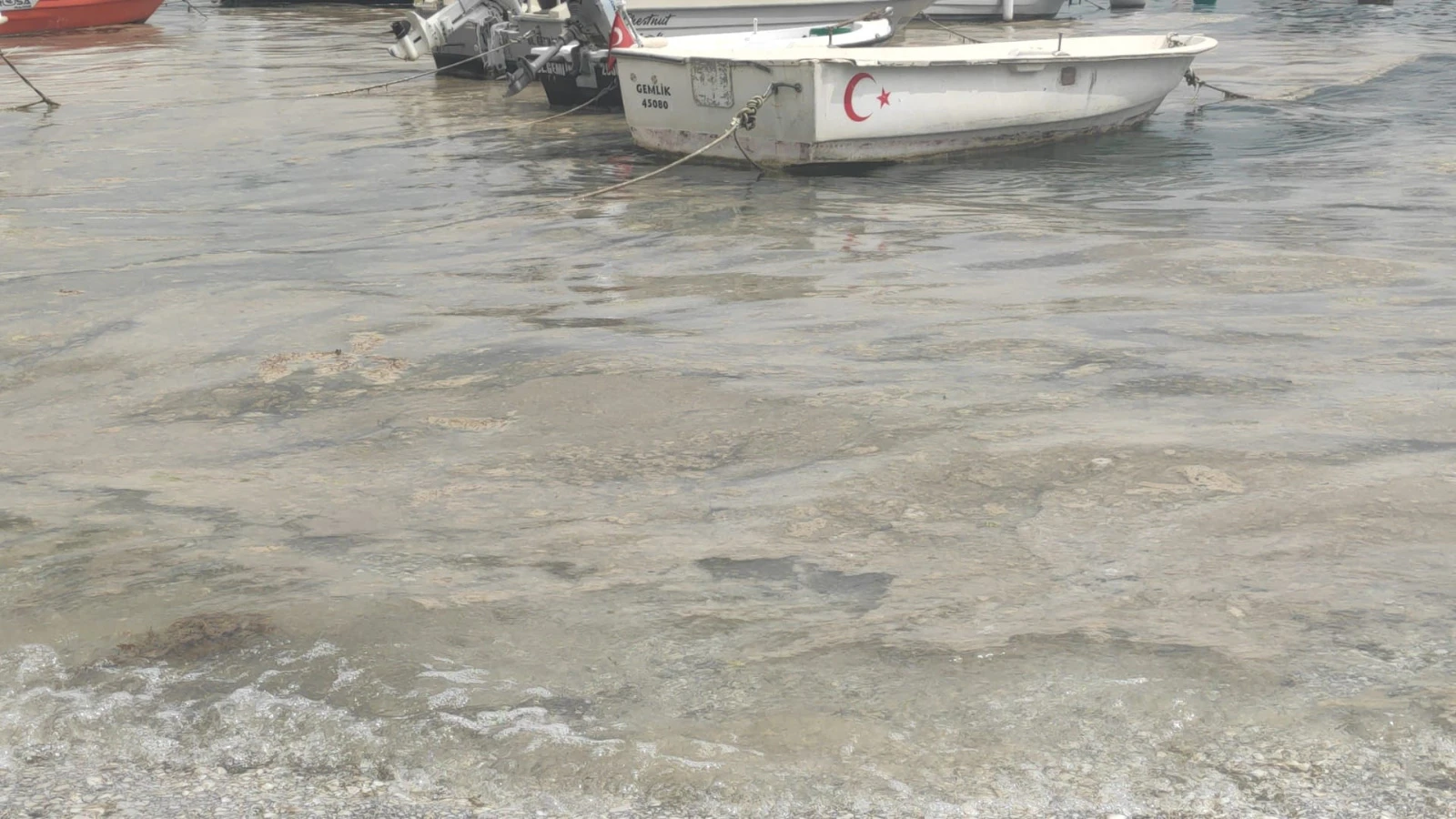 Marmara Denizi'nde Bursa kıyılarında müsilaj görüldü